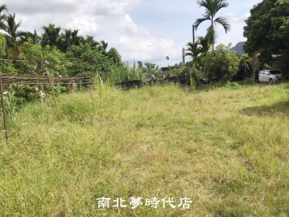 六龜黃金果美農地