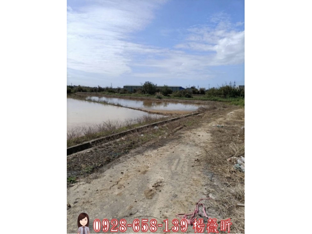 桃園新屋近市區美農地