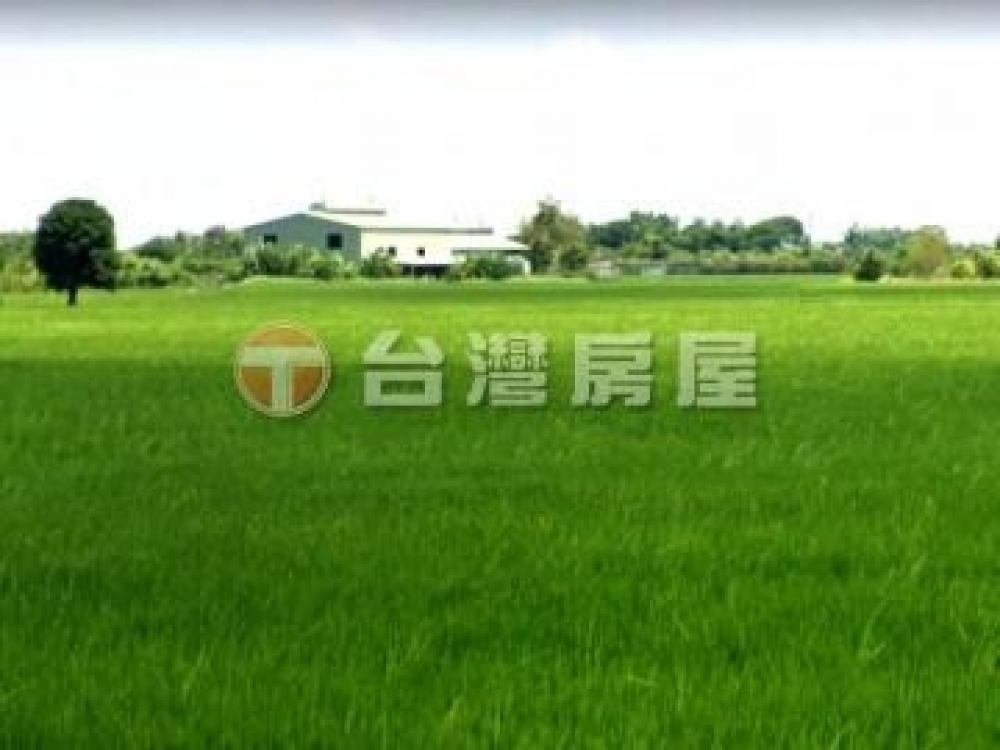 嘉義市近賢達路-北社尾都計內農地