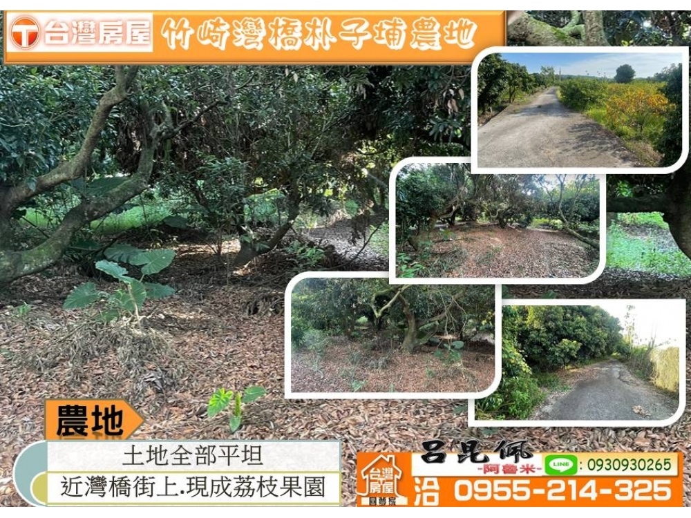 竹崎灣橋朴子埔農地~台灣阿魯米