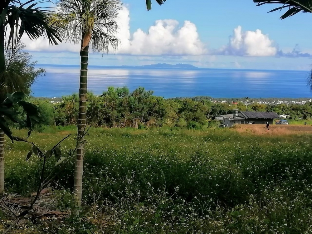 藍寶超療癒海景農地