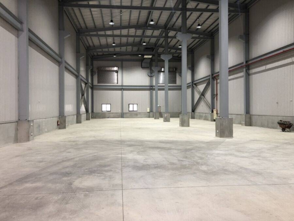 大園工業區全新挑高廠房