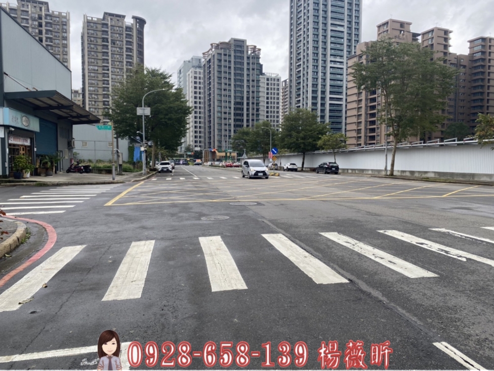 新北林口麗林段建地