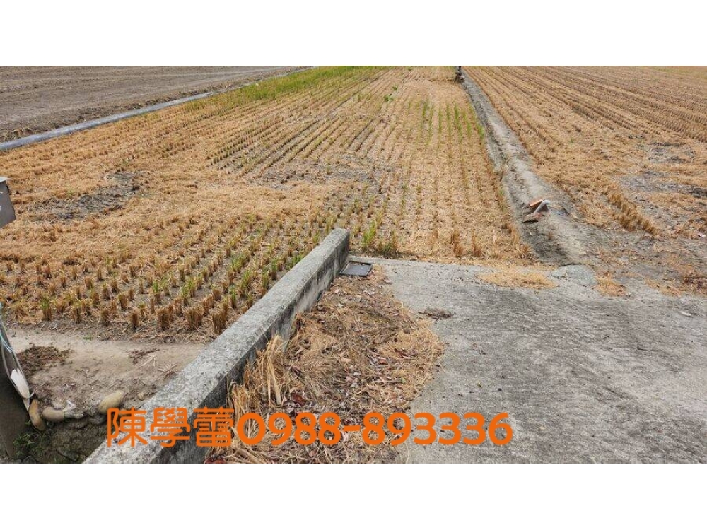 溪口大路邊農地