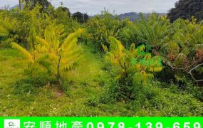 台東農地-斑鳩田園夢農建地