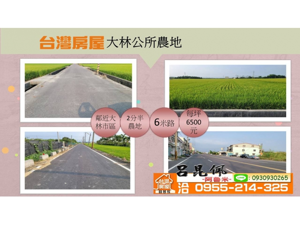 大林公所農地~台灣阿魯米