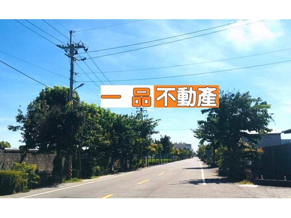秀水馬鳴路旁雙面路田地