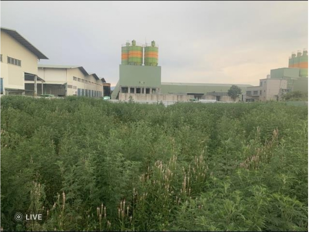 龍潭第二交流道方正工業地(附建照)[專營龍潭區廠房工業地買賣出租]