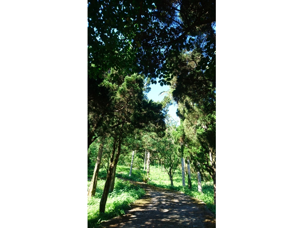 陽明山國家公園附有兩棟有建物權狀老厝方正土地