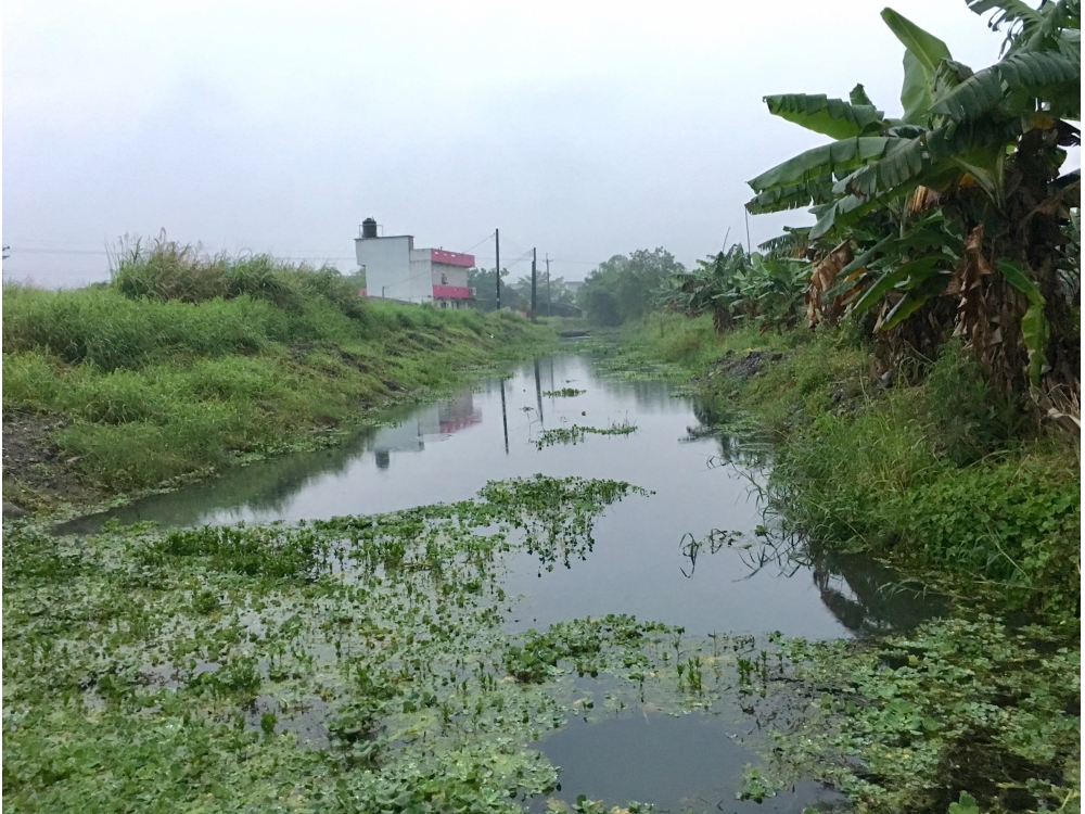 ★（超值湧泉地）【柯林超值半賣半送442農地】
