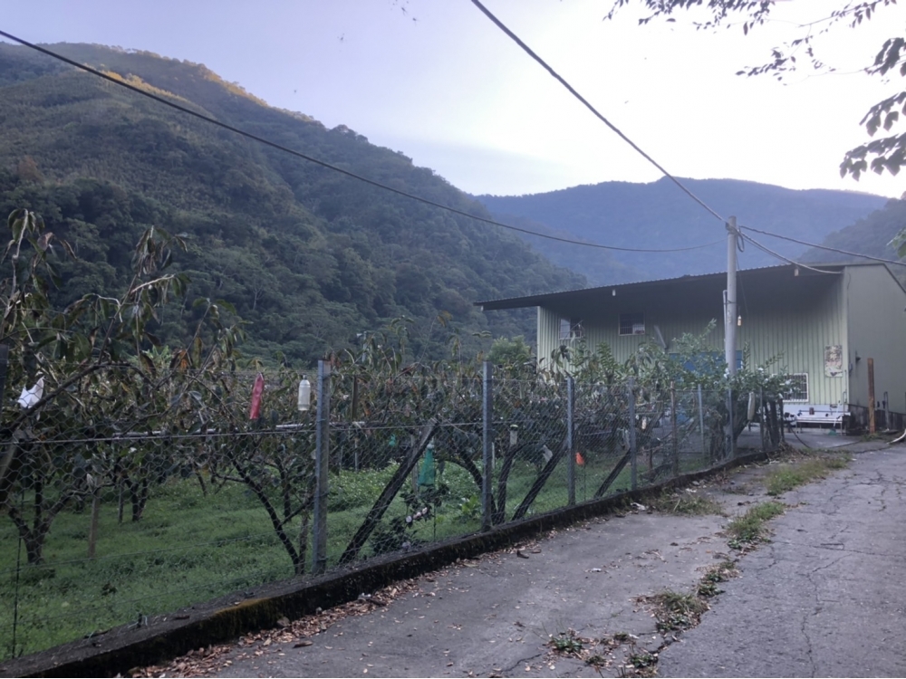 泰安鄉農牧用地 出售