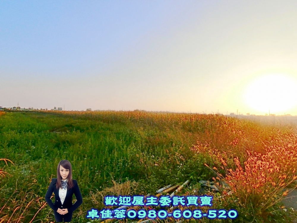 將軍353方正農保農地