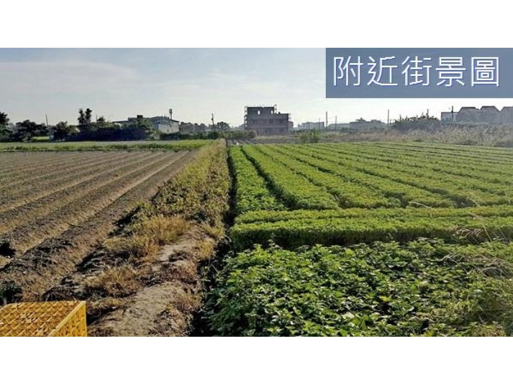 豐田國小農地