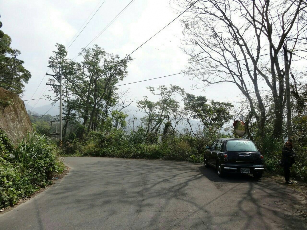苗栗卓蘭近實驗高中甜柿園洽淑慧0963-371246