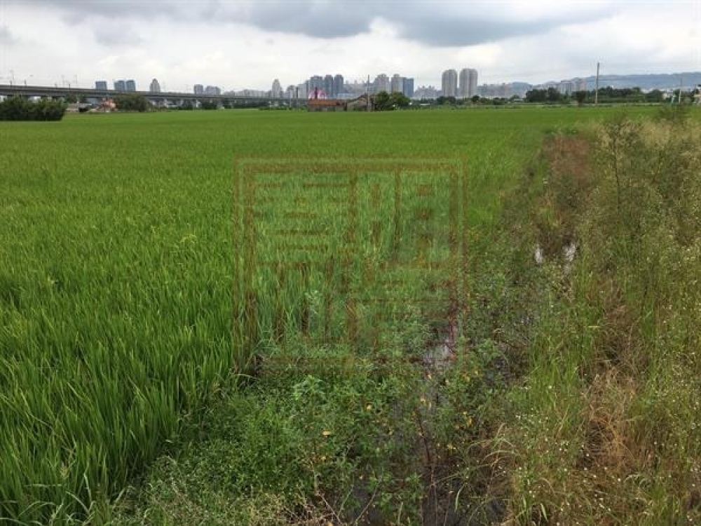 竹東㊣公道路美農地-春明地產-035551111