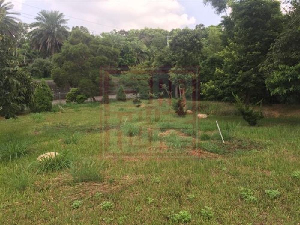 新埔新星國小休閒農地-春明地產-035551111