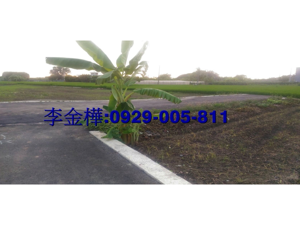 嘉義市開心農場