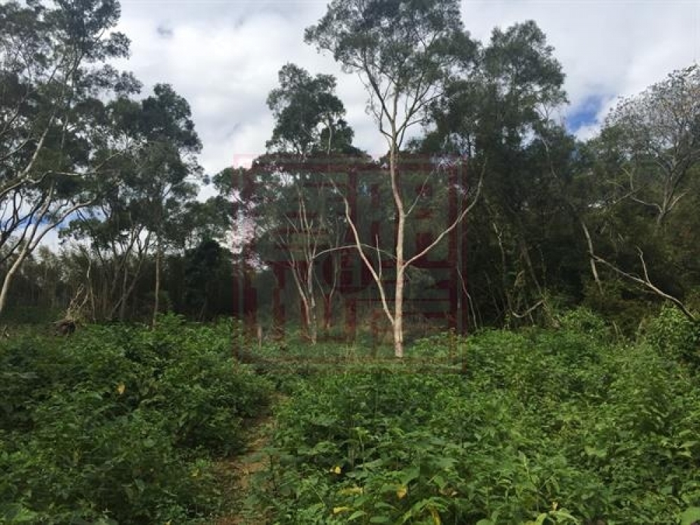 芎林正文德路農地 