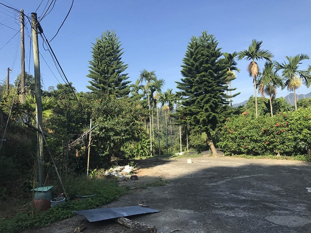 大湖鄉九芎坪建地194.8坪/農牧用地107.3坪/有壹棟建築物/景觀優/採光好/視野遼闊/近大湖市區/採購很方便