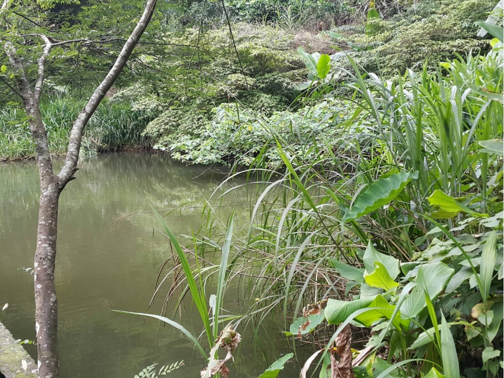 橫山休閒農地