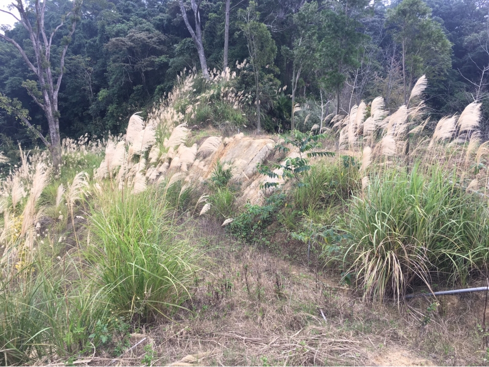 北埔豪景視野美地