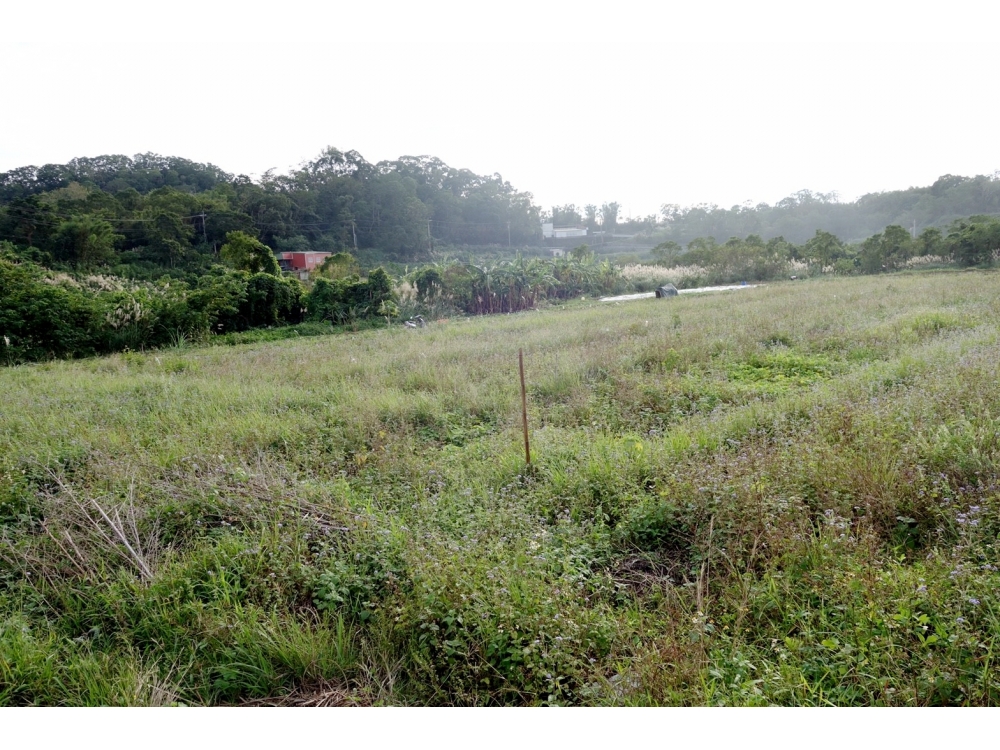 銅鑼圈農地-住商不動產頭份中央店