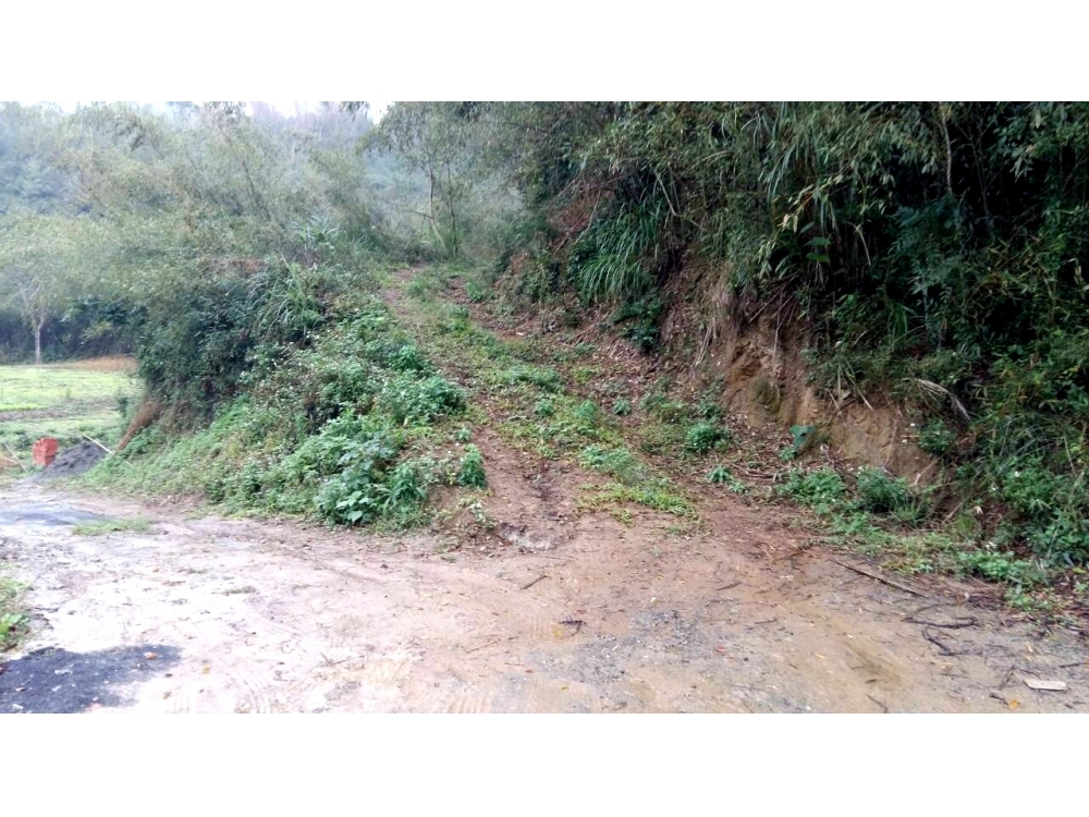 三灣大河底林地-住商頭份中央店