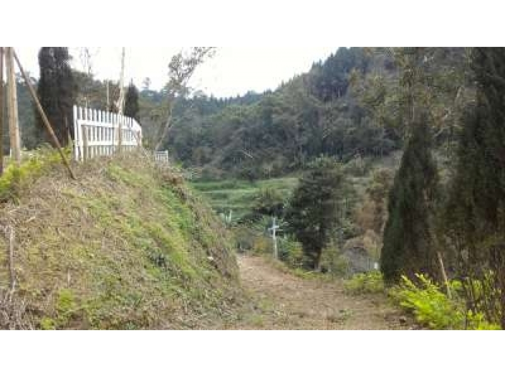 大山戀養生莊園D7