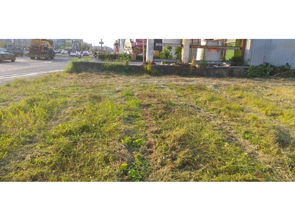 高雄仁武鳳仁路黃金店面地