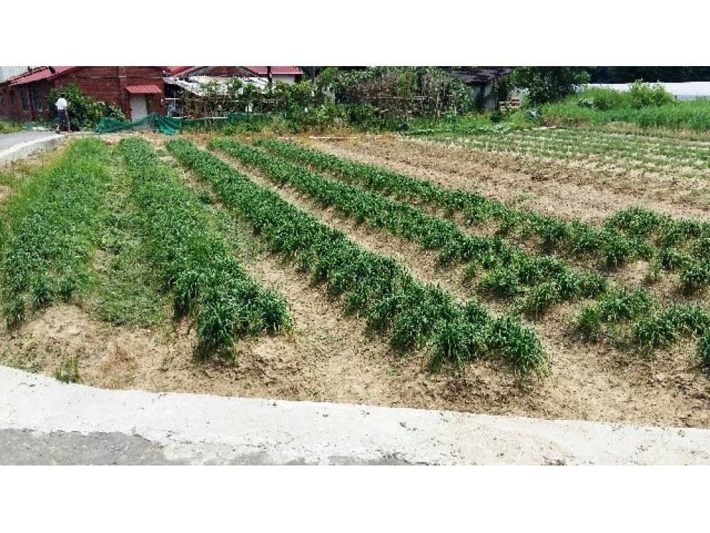 售780萬【關西都計內田】新竹縣關西鎮住商呂先生◎關西鎮近關西市區*都計內