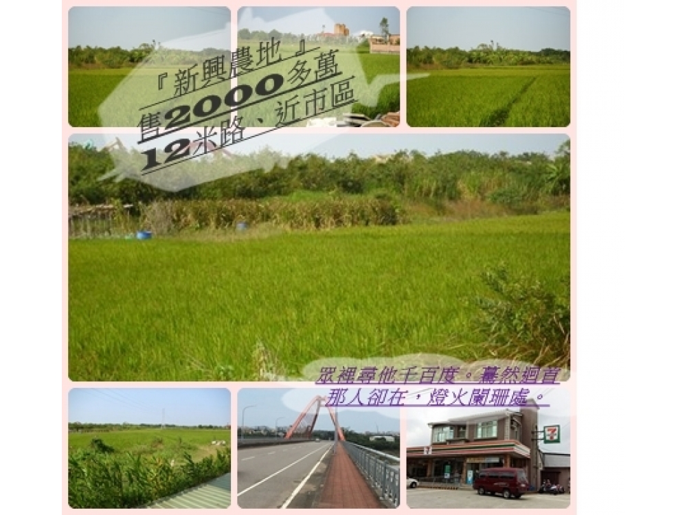 『新興農地 』12米路、近市區SPT小連