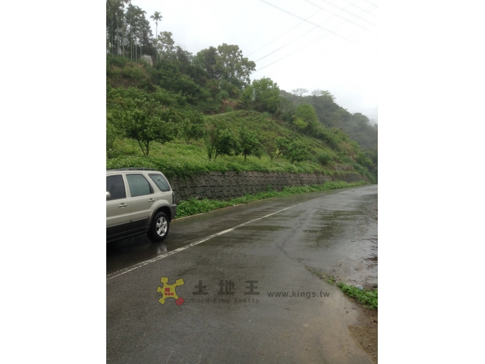 苗栗大湖臨路美農地