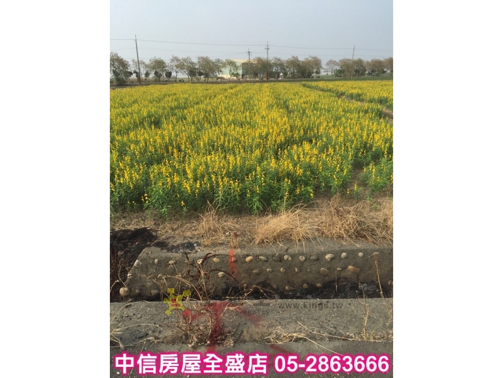 後潭旁農地