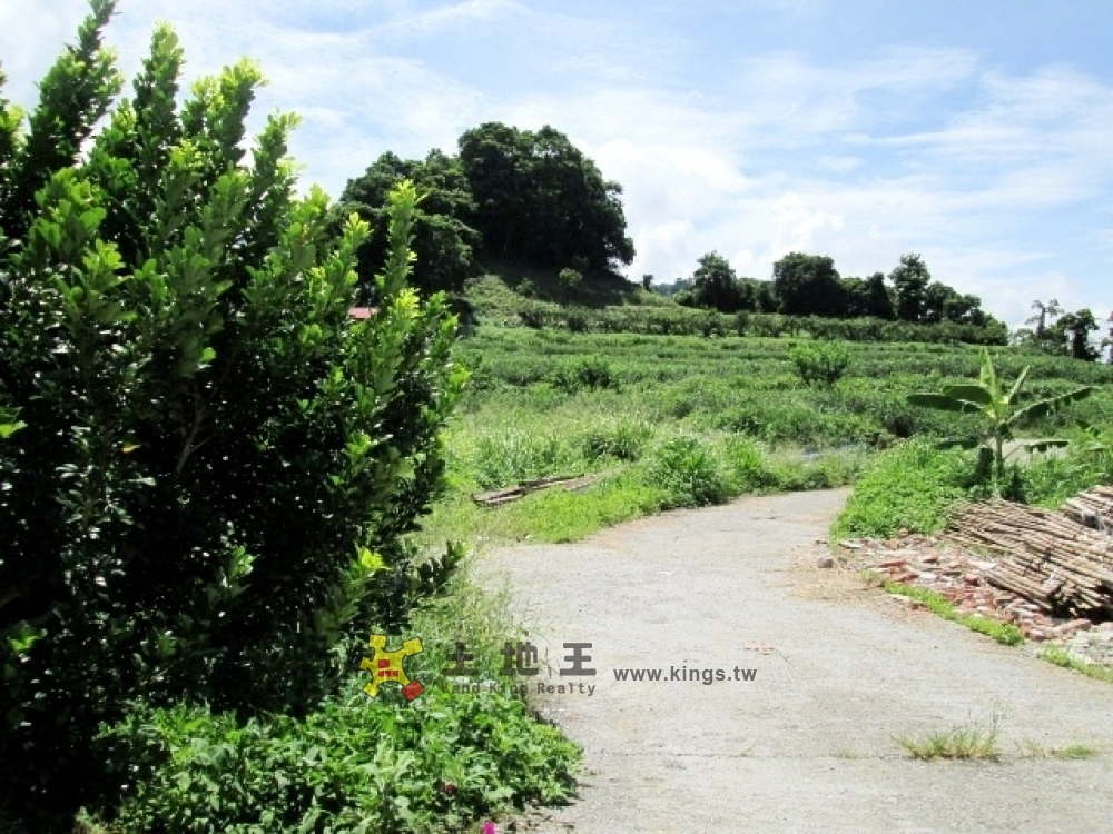 草寮農牧地B