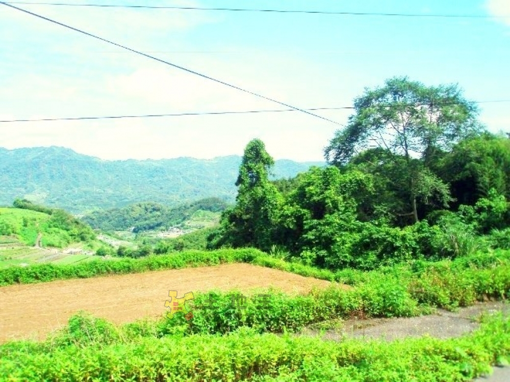 大邦草莓園