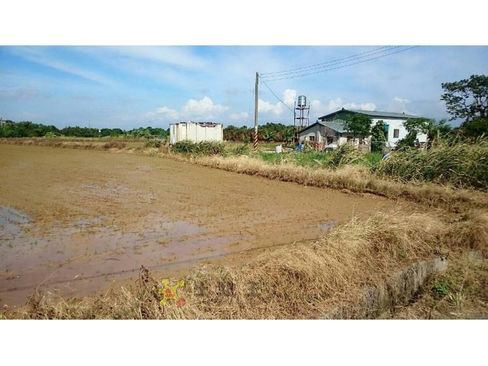 新屋大坡三角堀農地