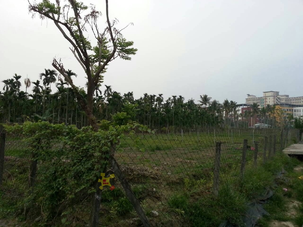 內埔美和大學旁(多筆農地出售)