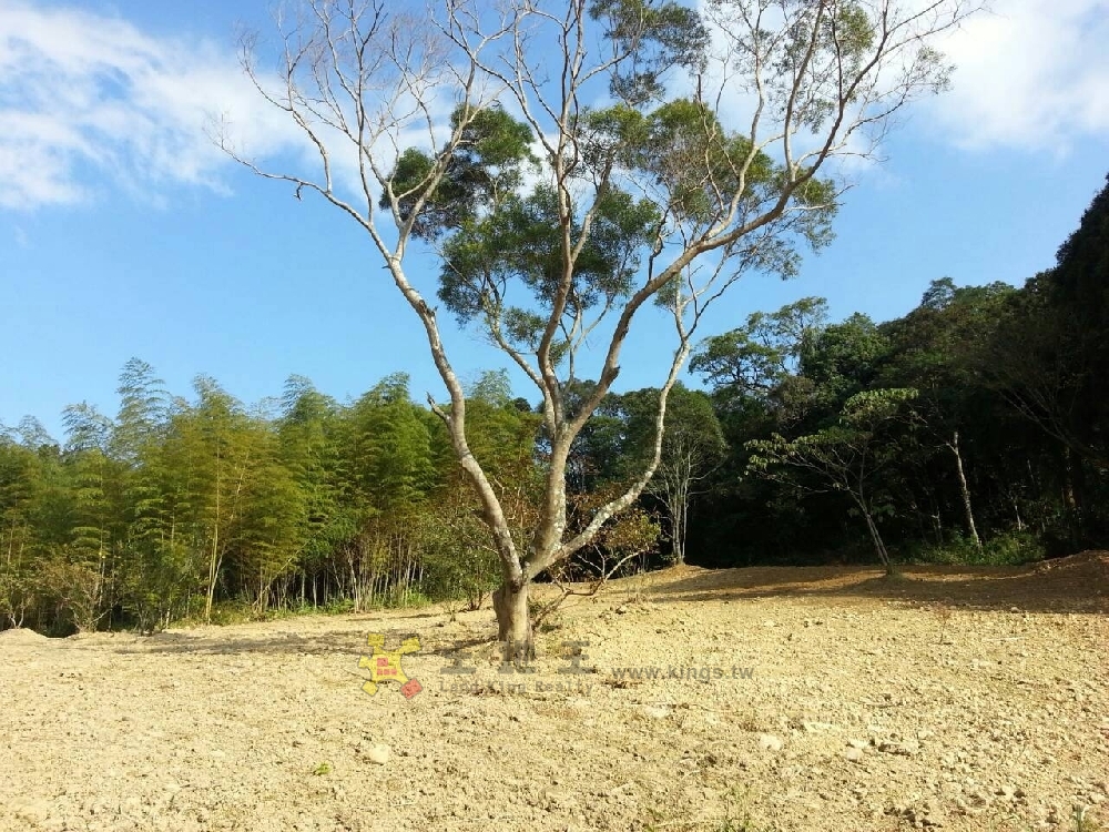 三峽山坡地