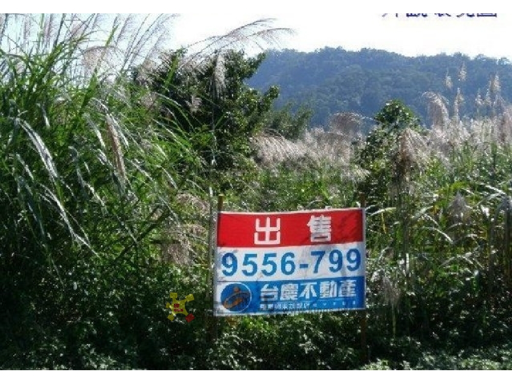 舊寮中山農地[pt19]