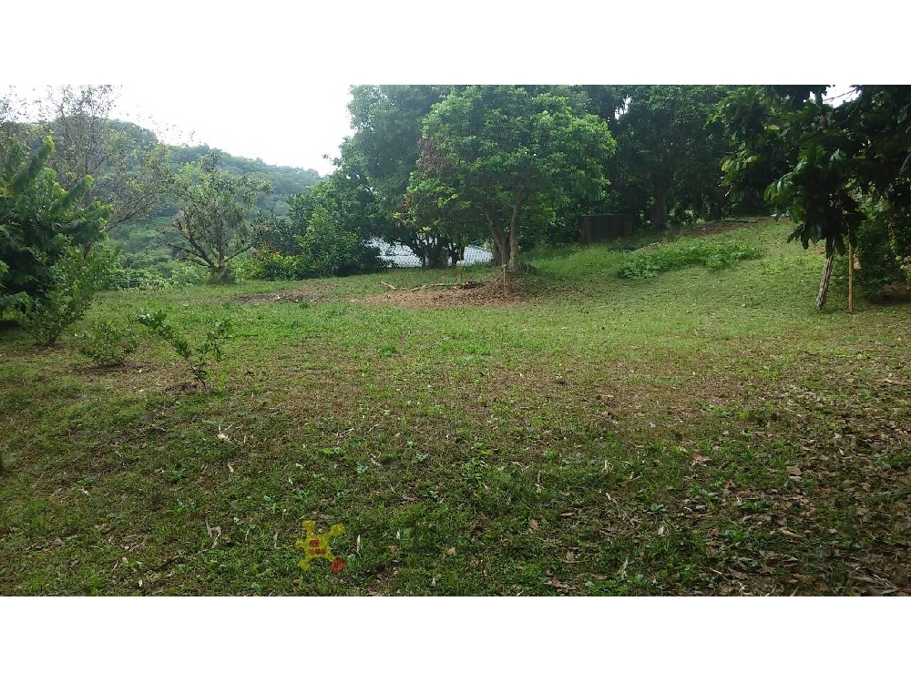 U023-鴨母坑農地+建地