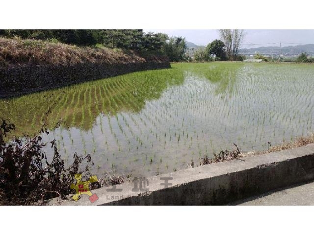 芎林碧潭國小美田