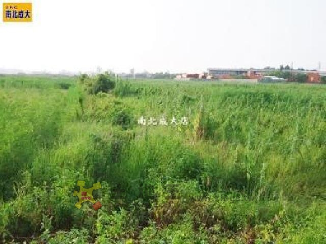 二橋1540農地[pt16]