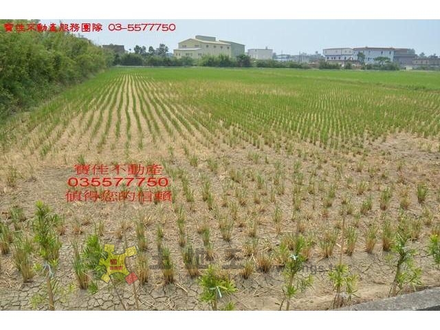 埔和605配建田[pt17]
