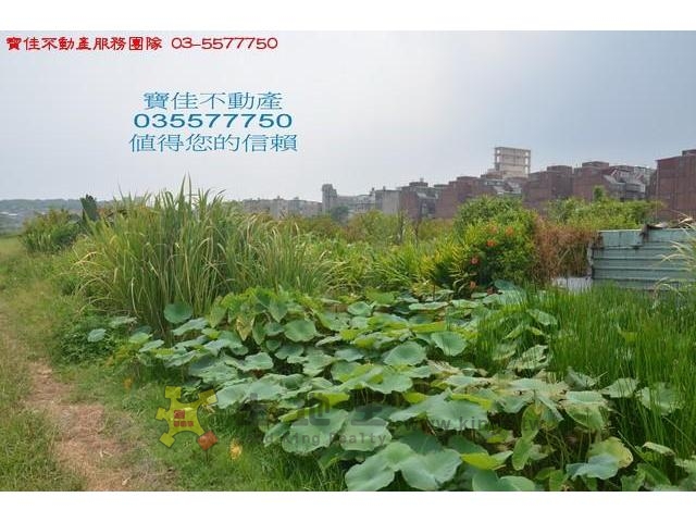 建興300都計內土地[pt17]