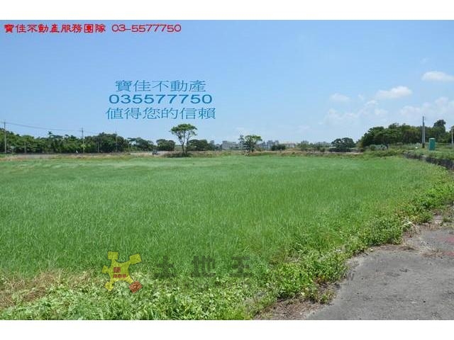 下北勢1594田[pt17]