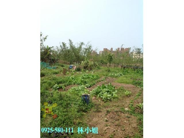 新北市淡水區 三芝建地2[pt11]
