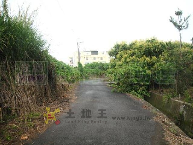 黃厝農地[pt18]