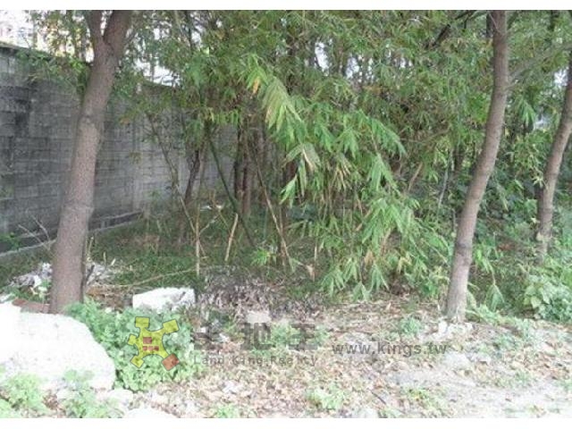 樹林八德街稀有工業地[pt11]