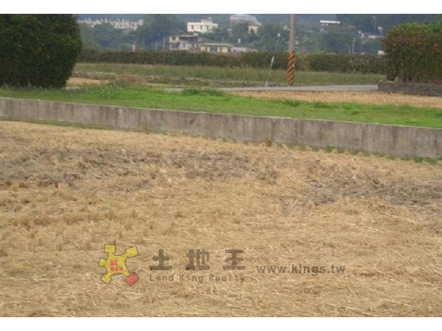 芎林竹林段田[pt11]
