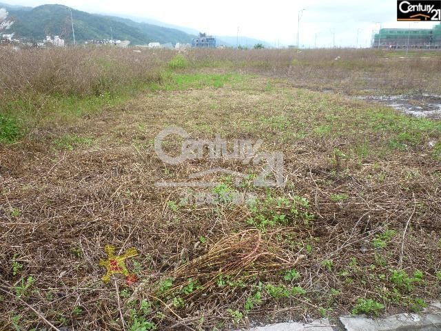 烏石港新武路美建地[pt26]